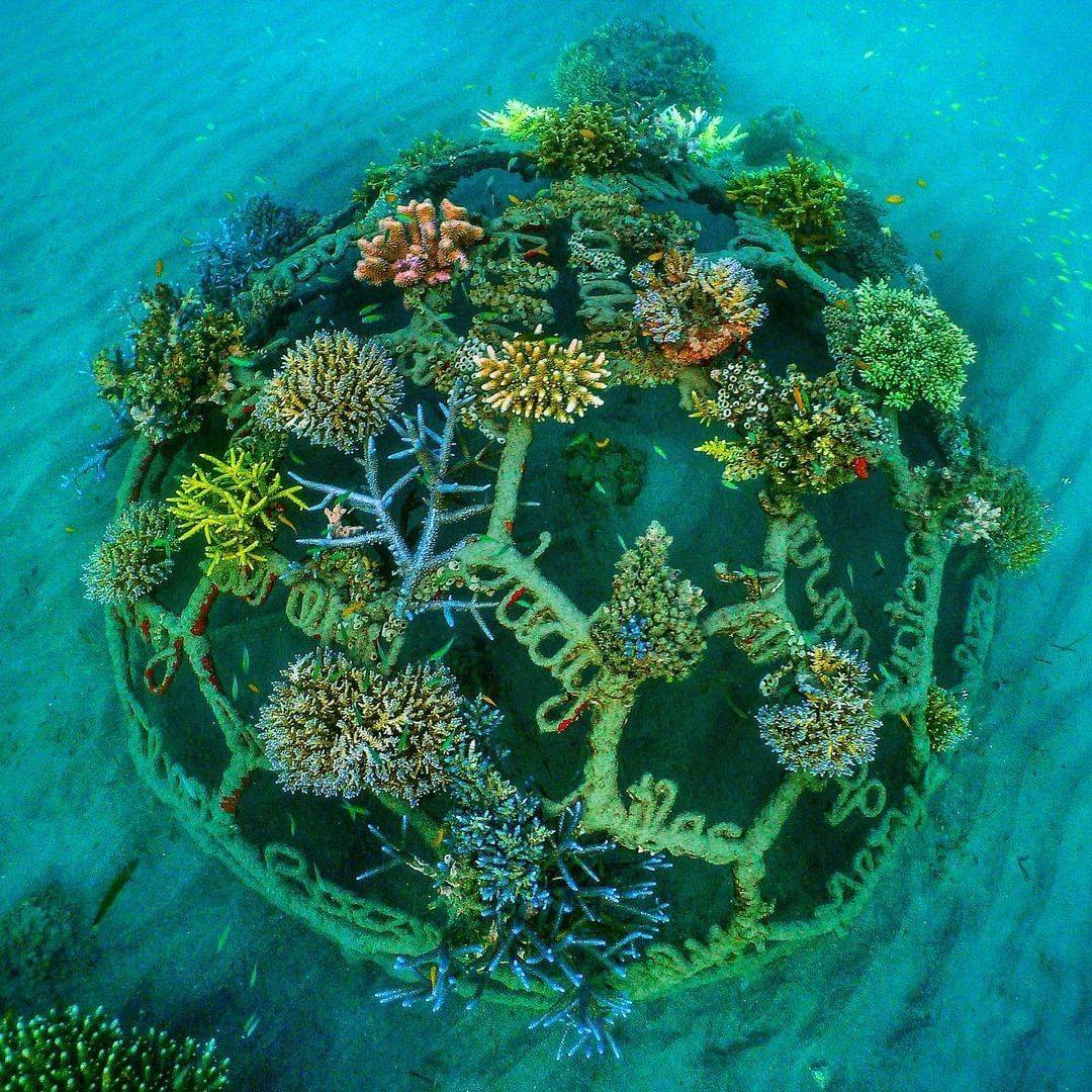 BioRock around the world – BioRocks